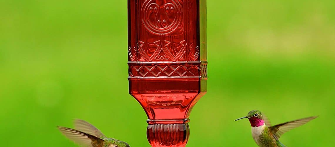 Perky Pet Red Square Antique Bottle Glass Hummingbird Feeder