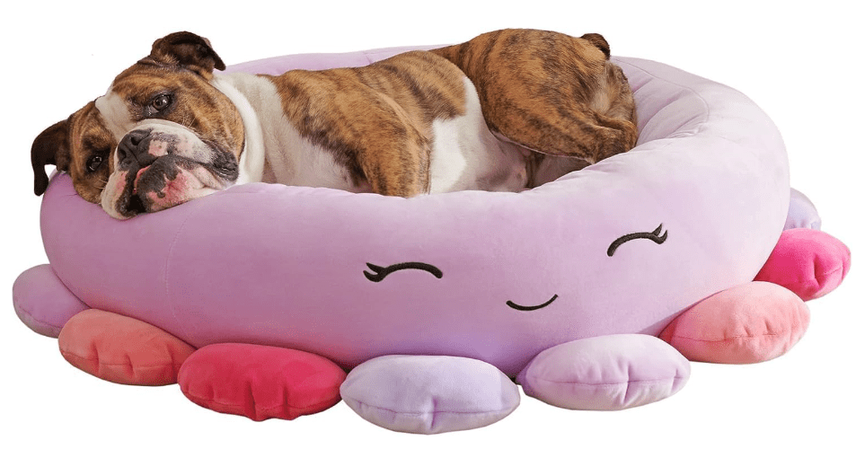 Squishmallows Pet Bed Medium Savings Guru