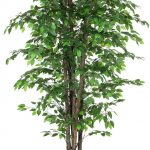81I88lsQkXL._AC_SX679_.jpg
