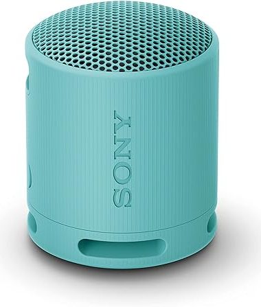 Sony SRSXB100 Wireless Bluetooth Portable Lightweight SuperCompact