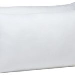 51rs-wtODeL._AC_SX679_.jpg