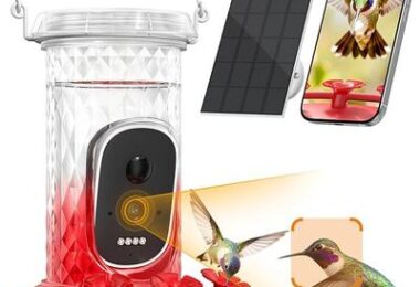 Smart Hummingbird Feeder Camera with AI Identification