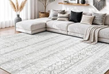 Area Rug 5×7 Rugs for Living Room