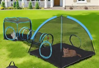 Outdoor Cat Enclosure