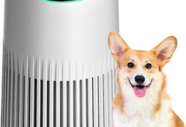 MORENTO Air Purifiers for Home