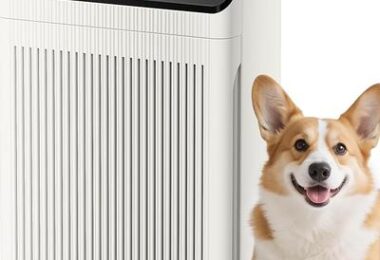Air Purifiers for Home Large Room up