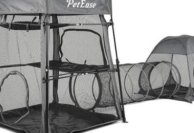 Cat Enclosures
