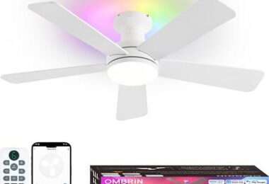 42 Inch Smart Ceiling Fan with Light
