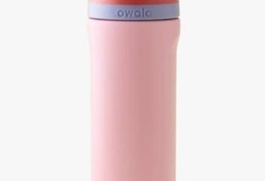 Owala FreeSip Insulated Stainless Steel Water Bottle
