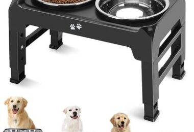COMESOON Raised Dog Bowls