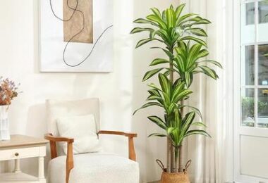 Ferrgoal Artificial Plants