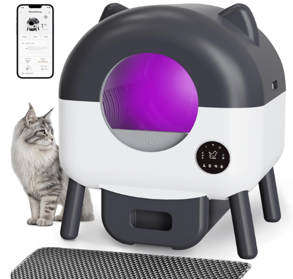 Self Cleaning Litter Box